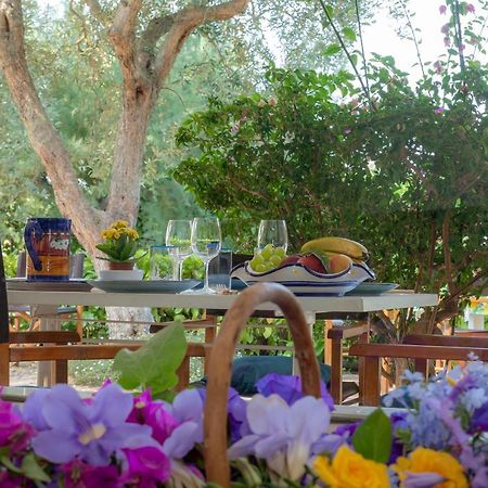 פיאנו די סורנטו Casa Vacanze Il Bacio מראה חיצוני תמונה
