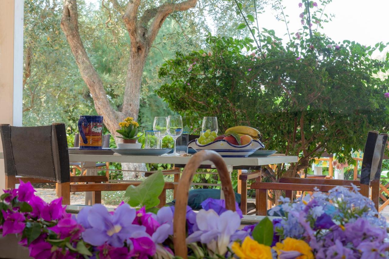 פיאנו די סורנטו Casa Vacanze Il Bacio מראה חיצוני תמונה